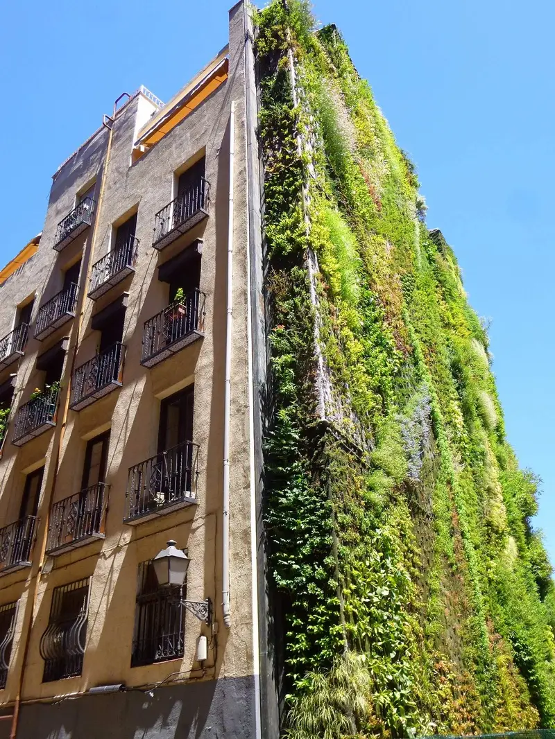 traduccion jurada firmada